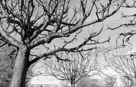 Порядок из хаоса