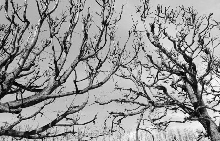 Притяжение