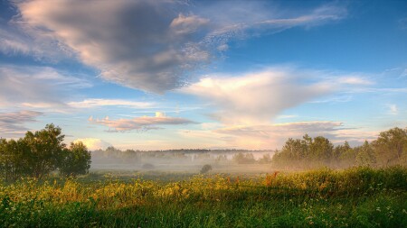 Перед грозой