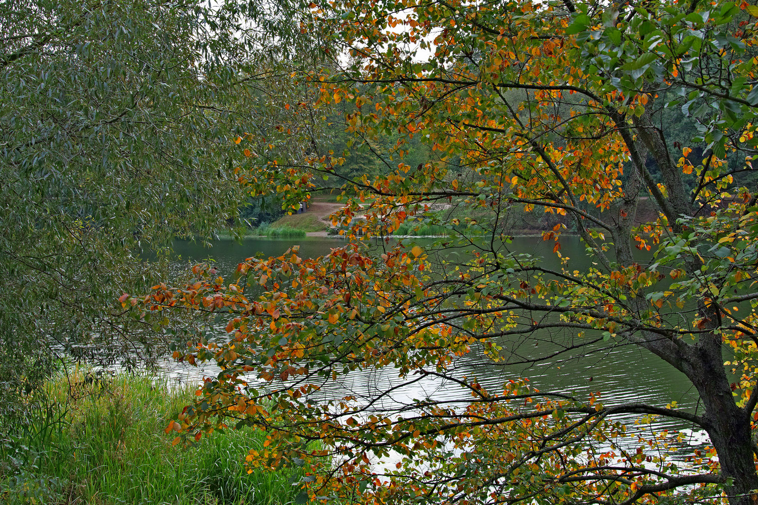 Кузьминский парк