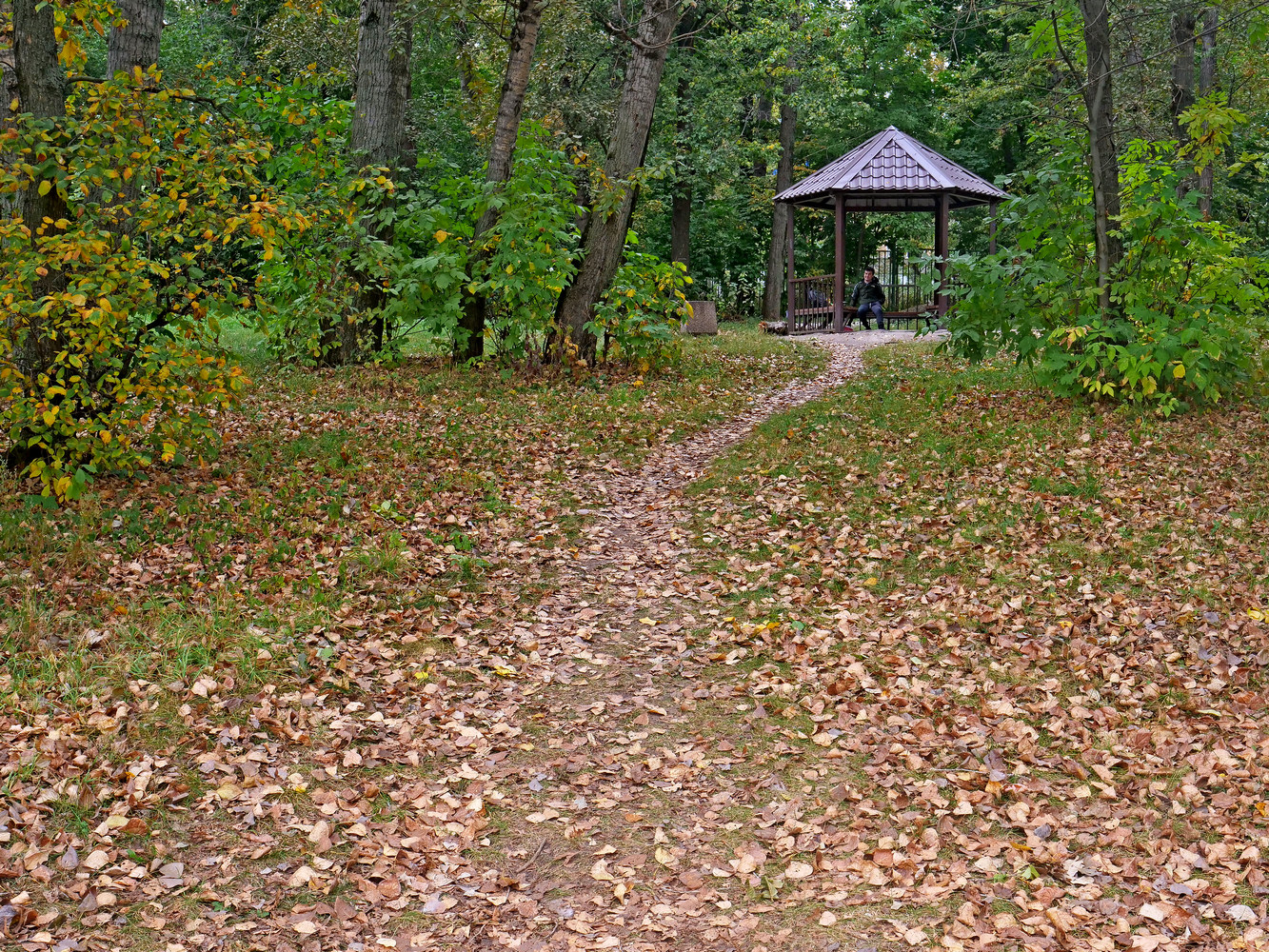 Парк Шкулёва