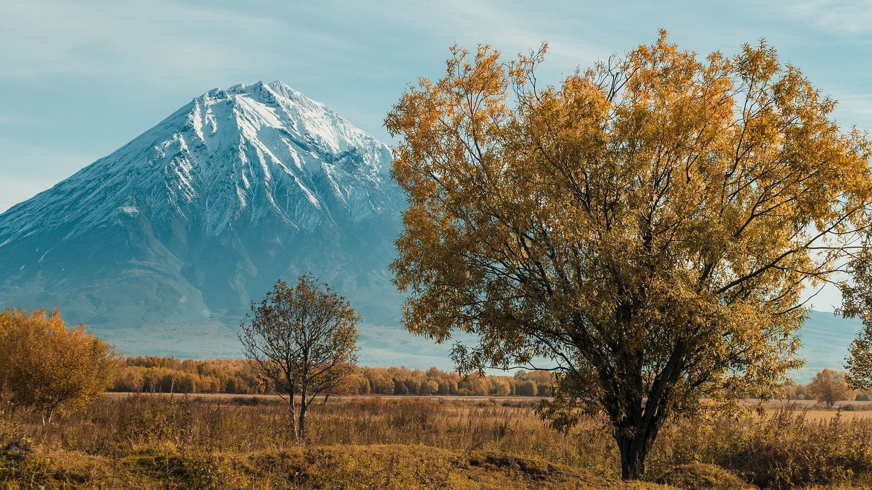 Корякский