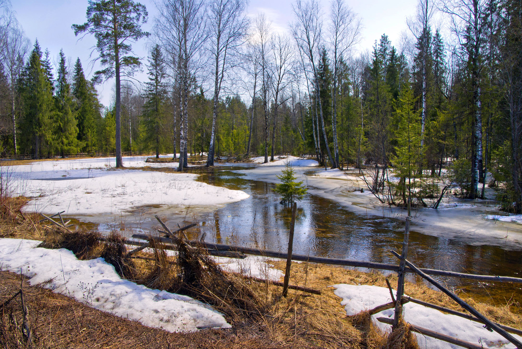 Весна. Апрель