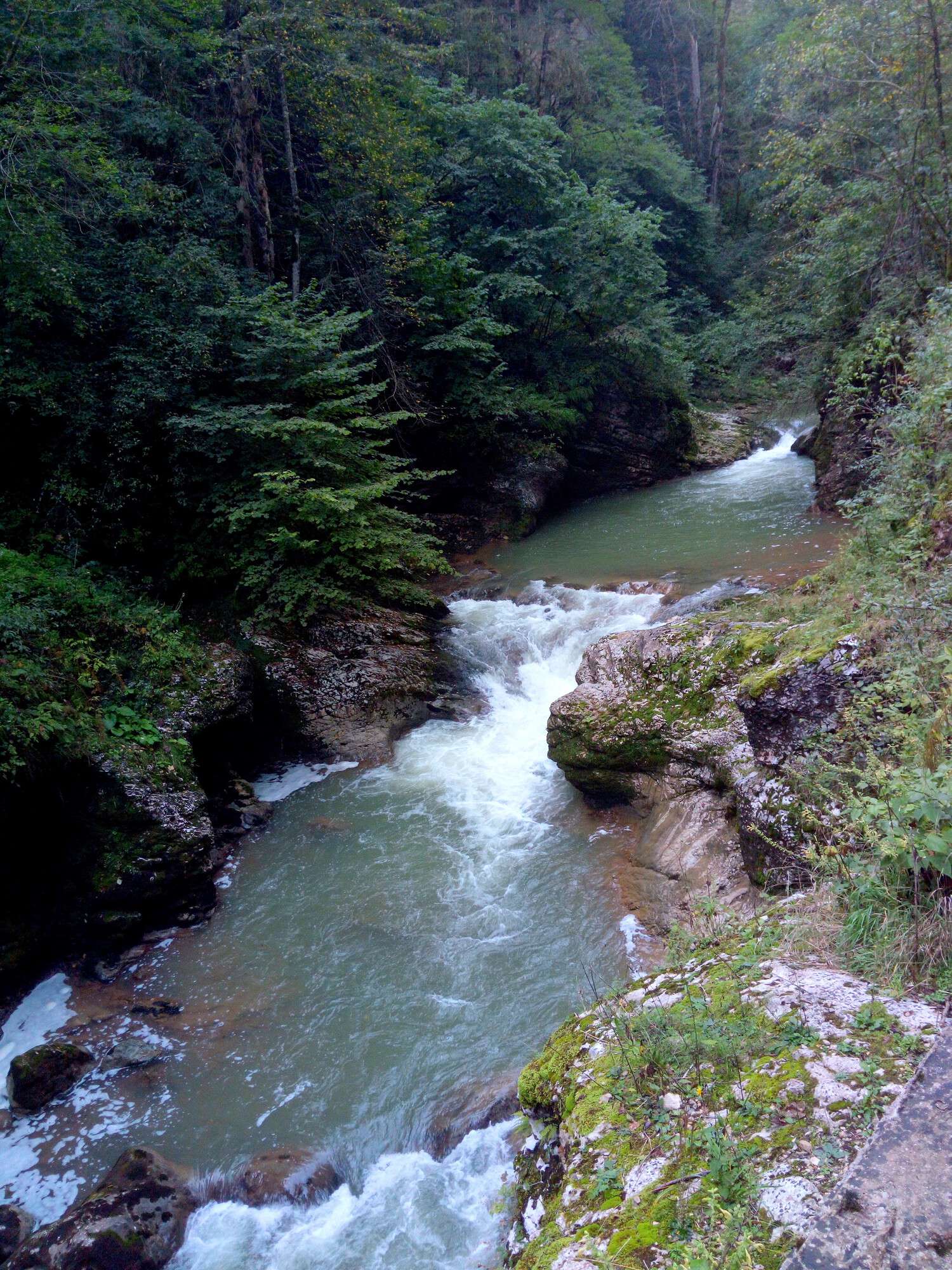 Курджипс