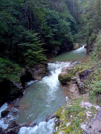 Курджипс
