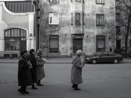 с вербою