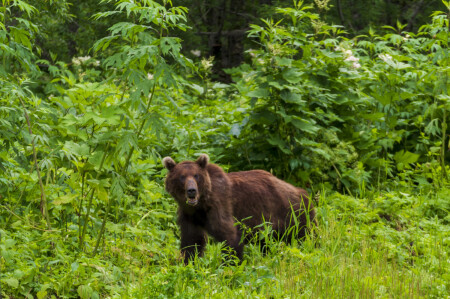 Чё хотел?! Не мешай