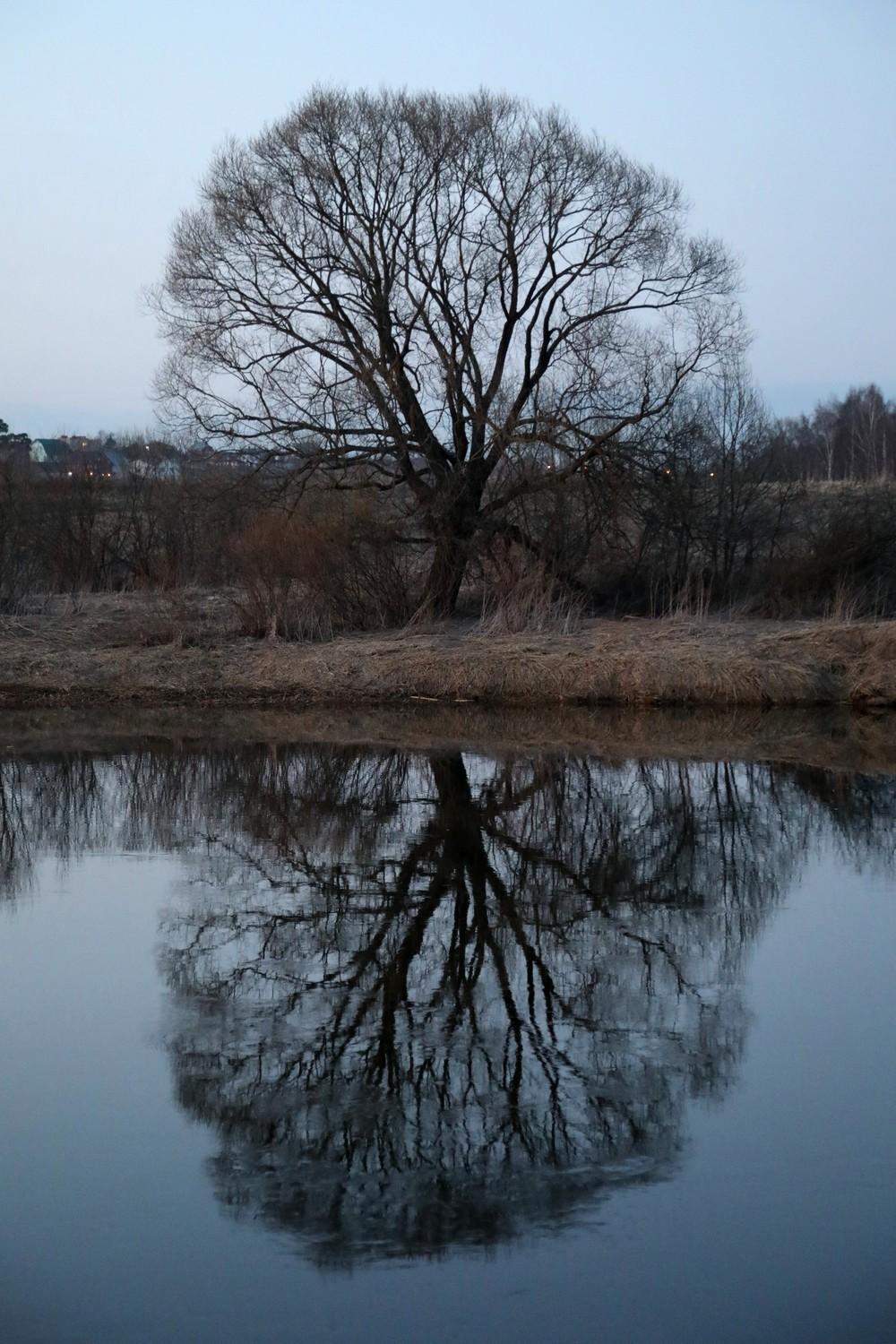 Вечер, Ива