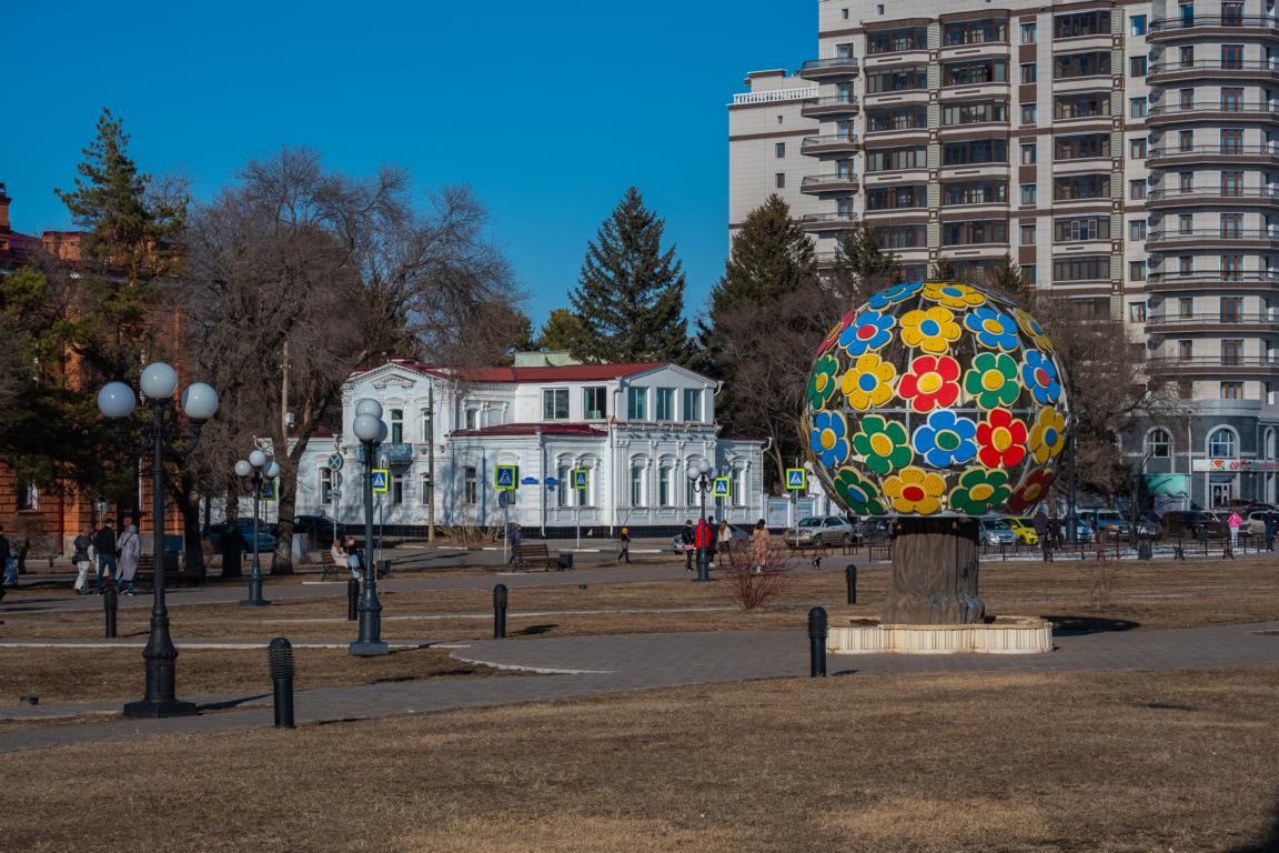 Ромашки