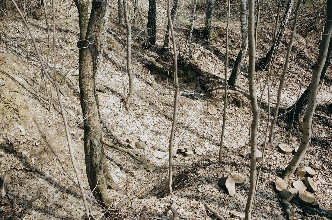Круги