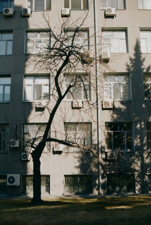 Квадраты