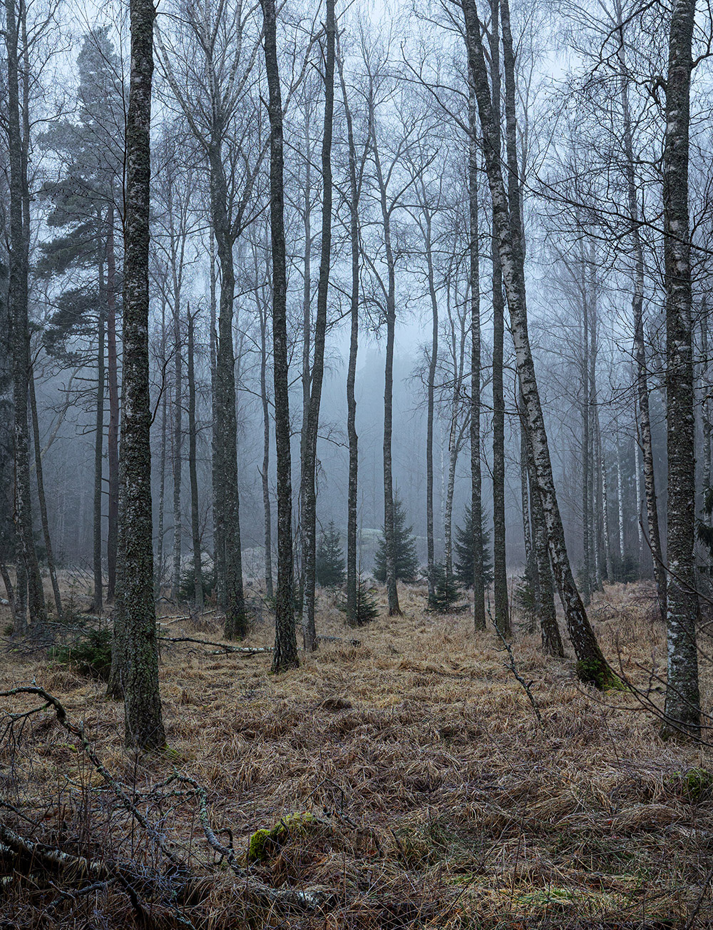 Мгла