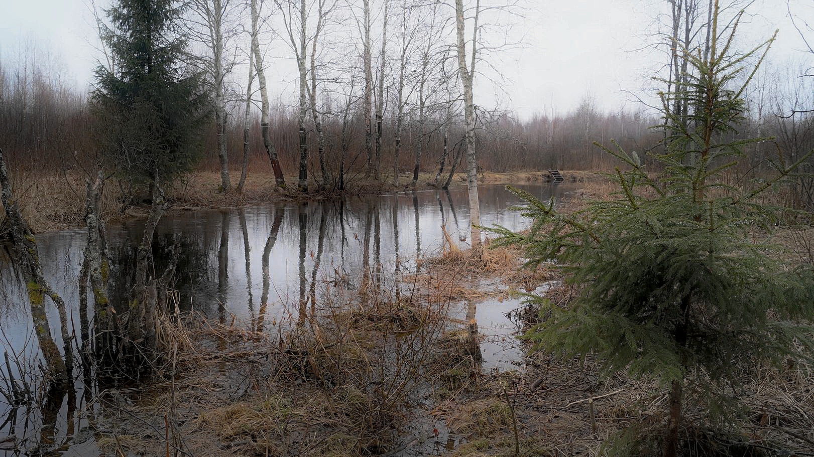 Хмурое утро