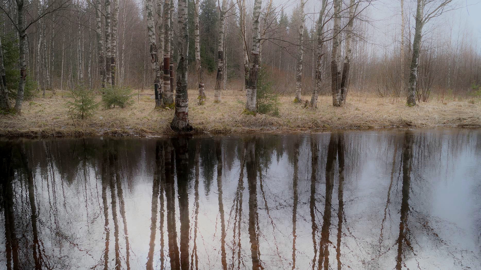 Отражения