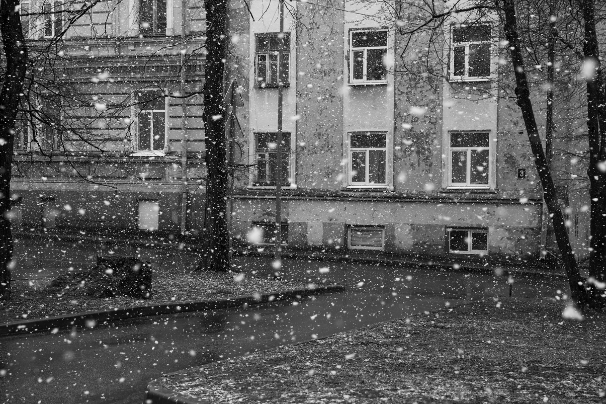 Снег Выборга