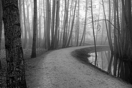 Утро в парке