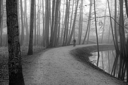 Утро в парке(2)