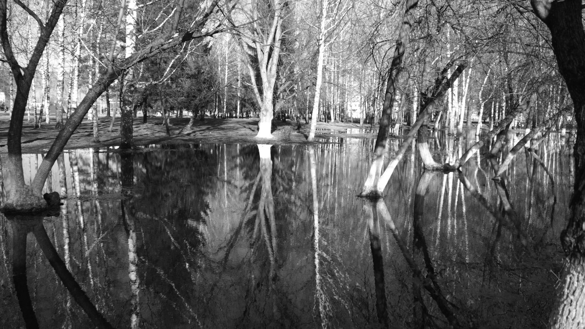 Отражается небо в лесу, как в воде...