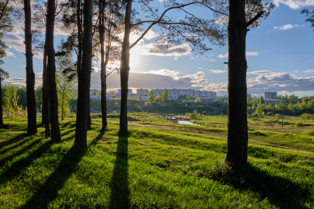 Вечер в парке 2