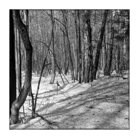 Весна пришла