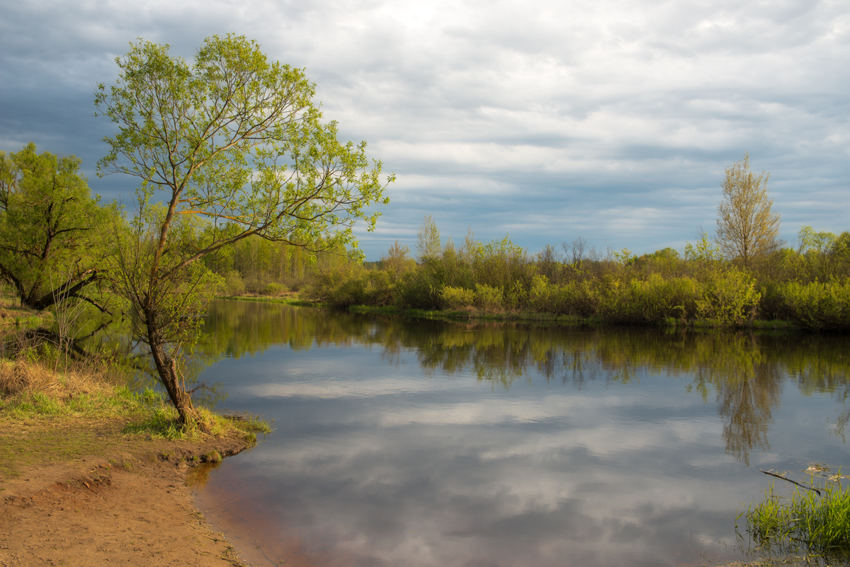 Река Пра. г. Спас-Клепики. 