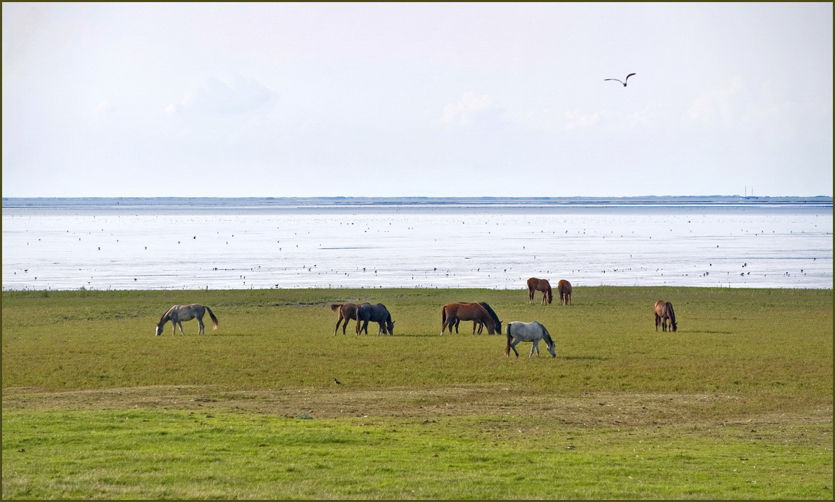 Netherlands
