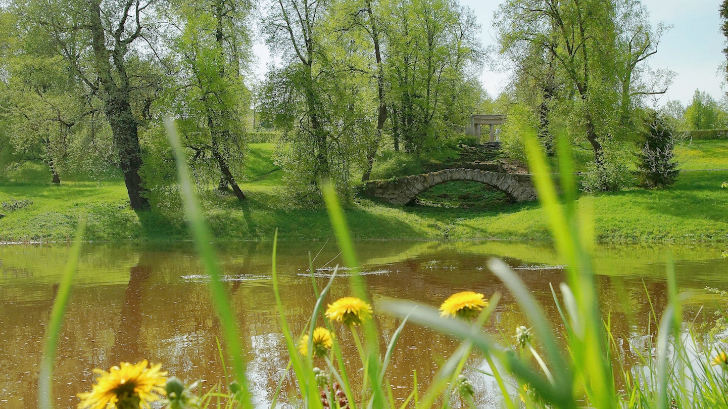 Весна в Павловском парке