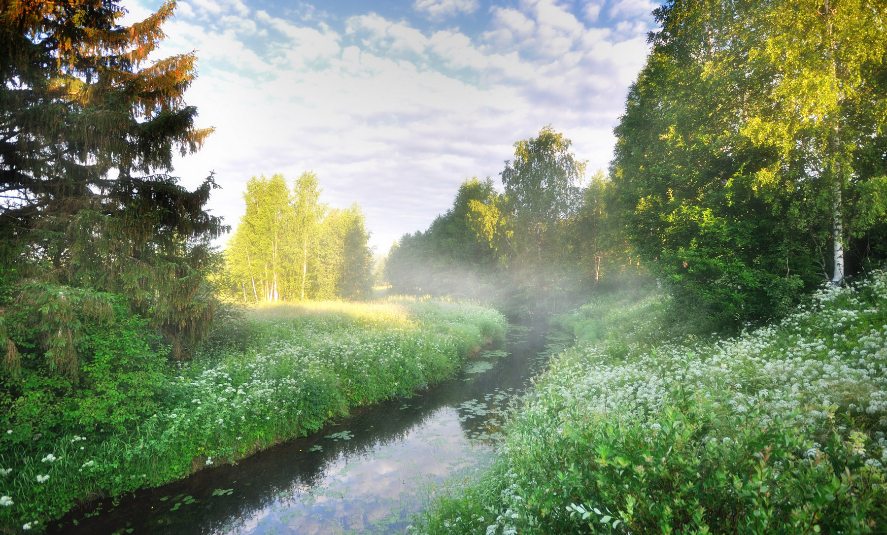 July morning.