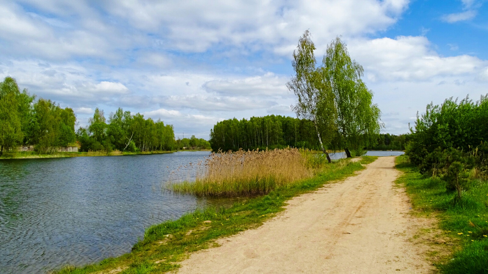 Природа Смоленщины 