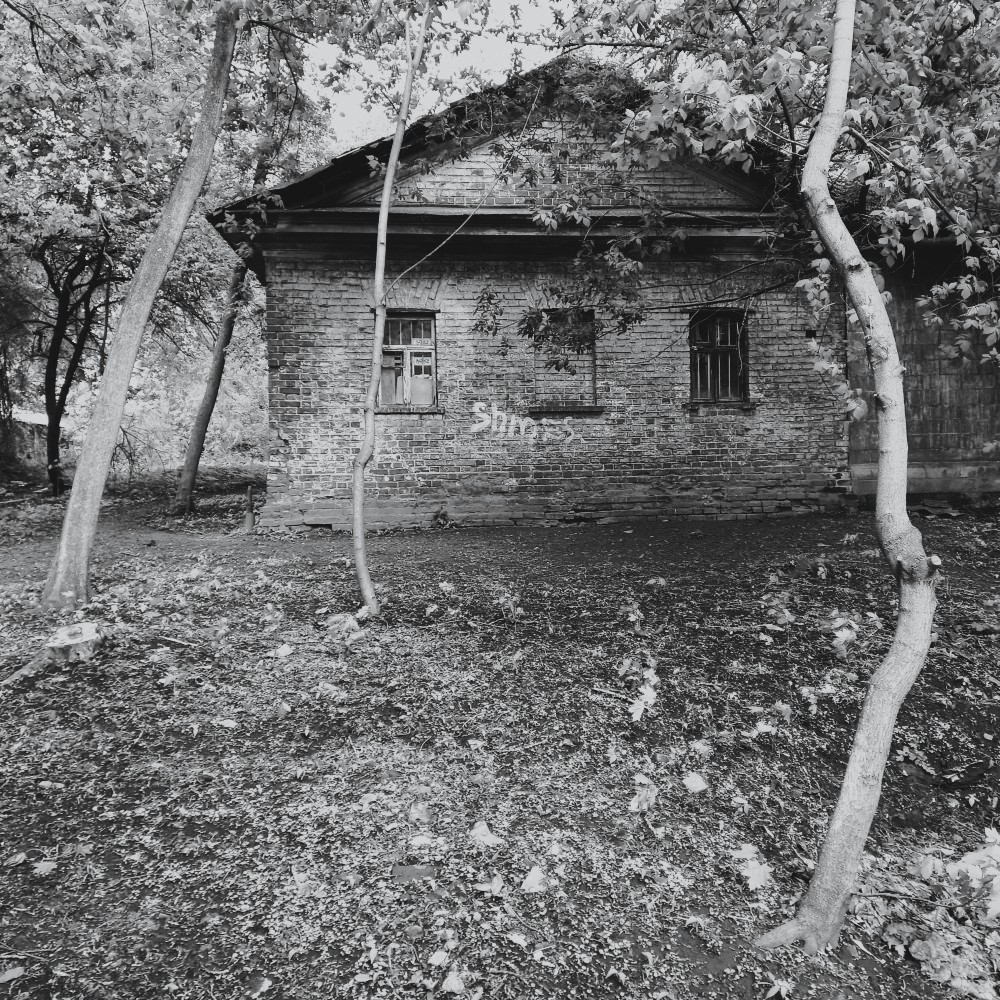 Дерево и камень