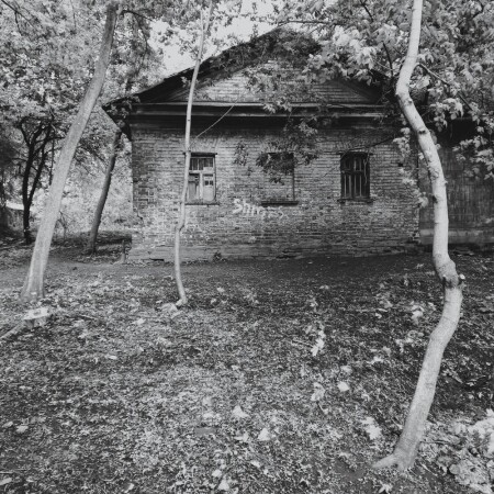 Дерево и камень