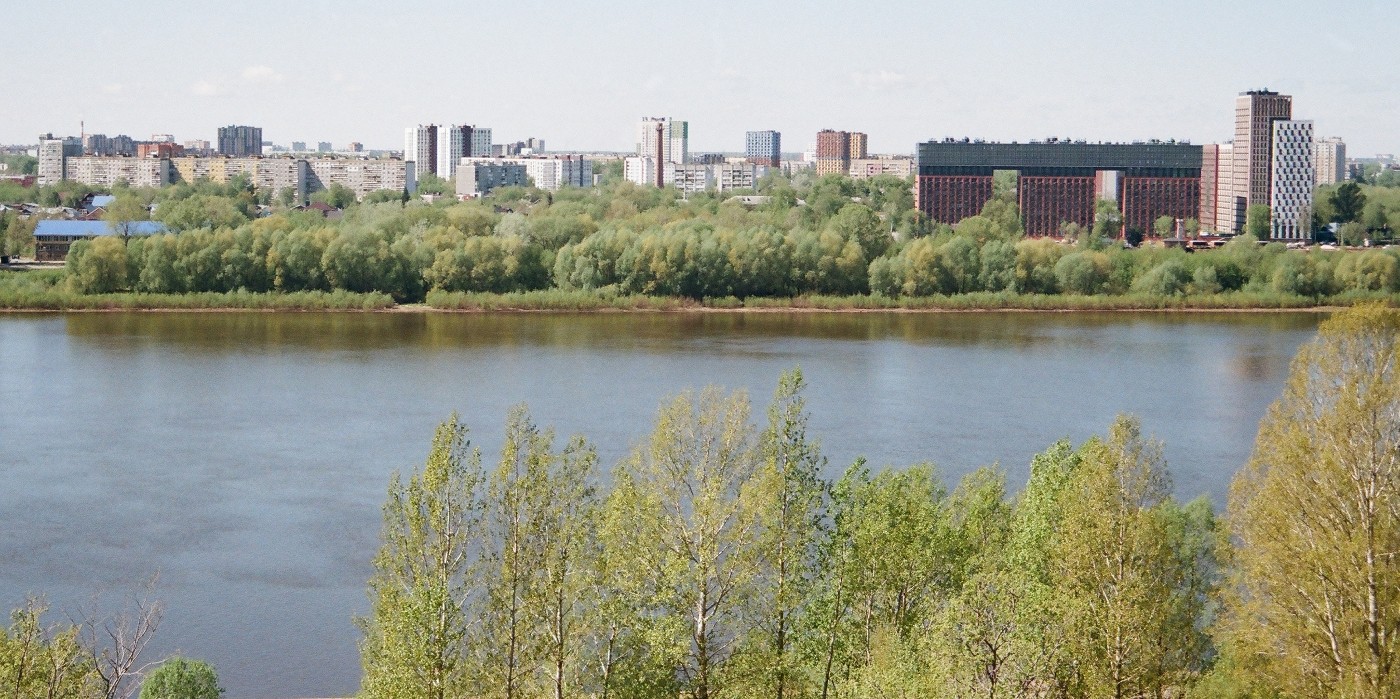 Дерево и камень
