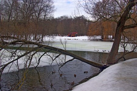 Шибаевский пруд