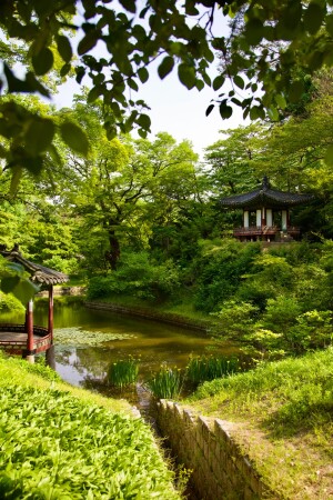 Дворец Чхандоккун