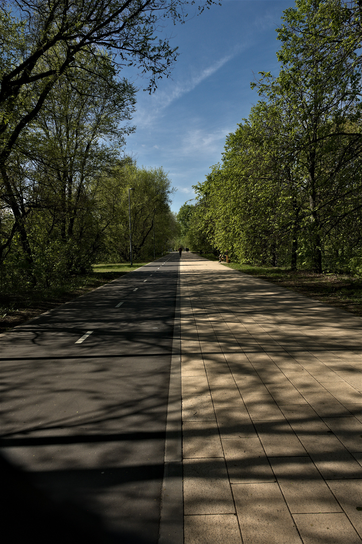 Велодорожка в Строгино