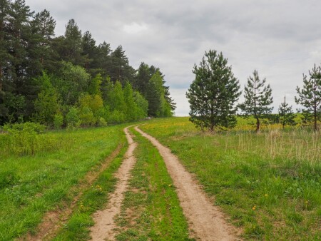  дорога домой