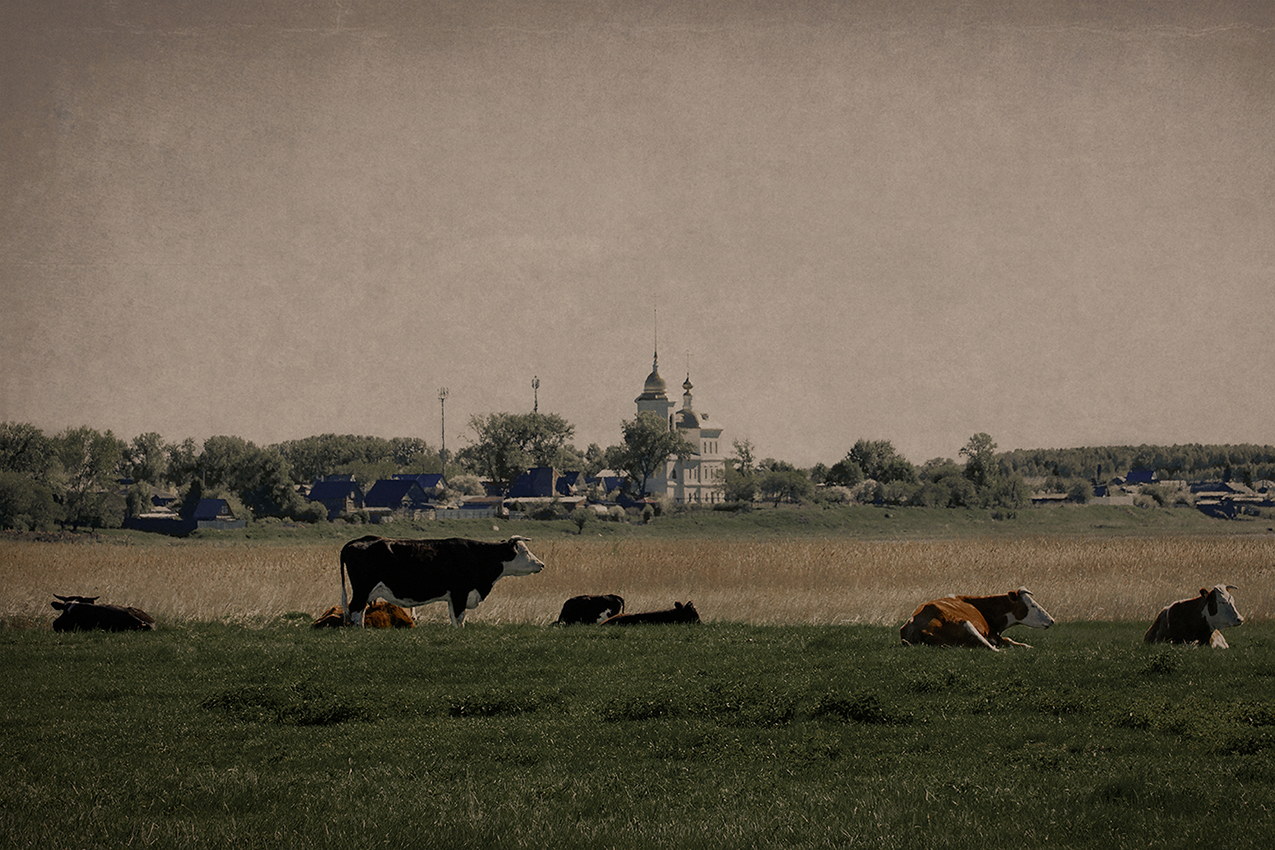 село Кузнецкое Челябинская обл.