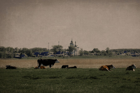 село Кузнецкое Челябинская обл.