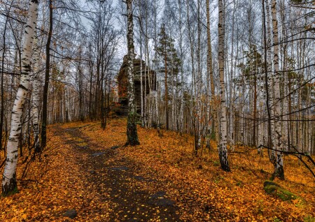 Затерялась в октябрьском лесу.