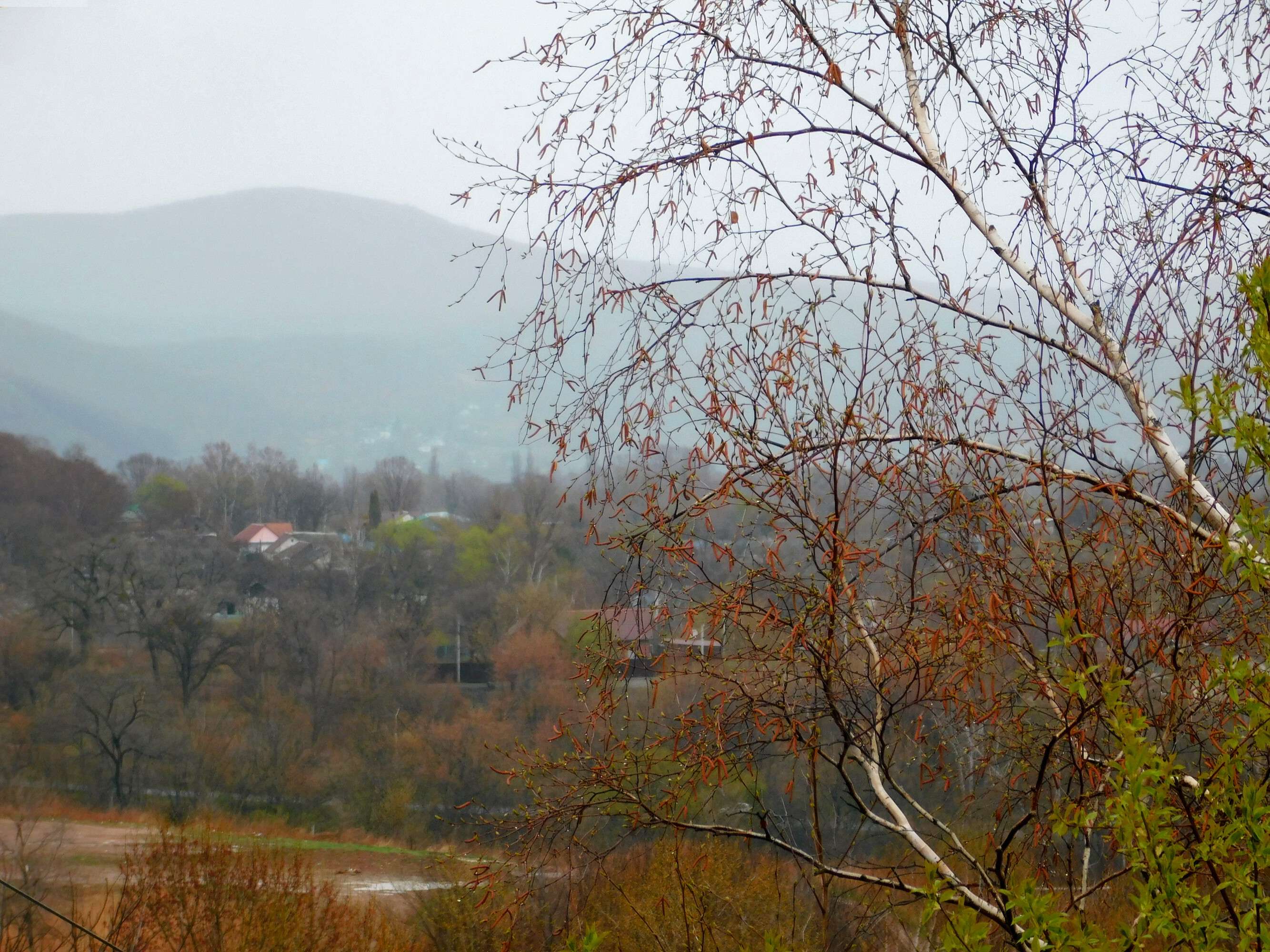 Осенняя весна в Приморье