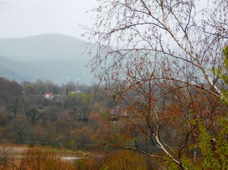 Осенняя весна в Приморье