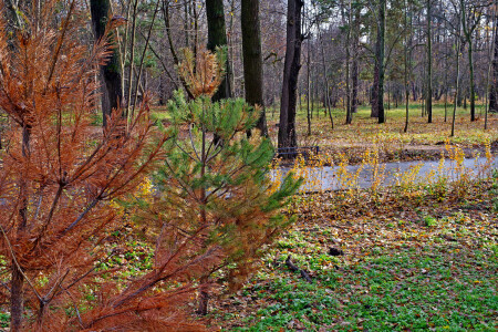 Кузьминский парк