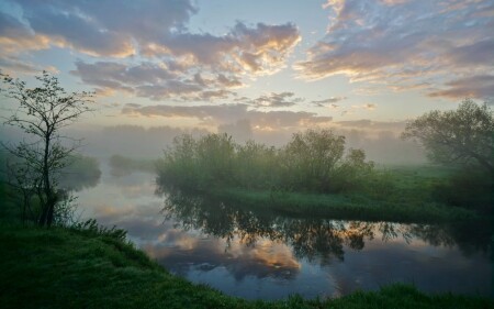 Туманное утро