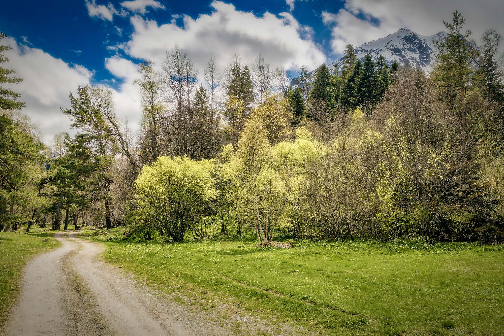 Весна в горах. Кавказ. Аксаут.