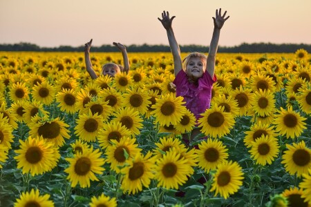 В подсолнухах