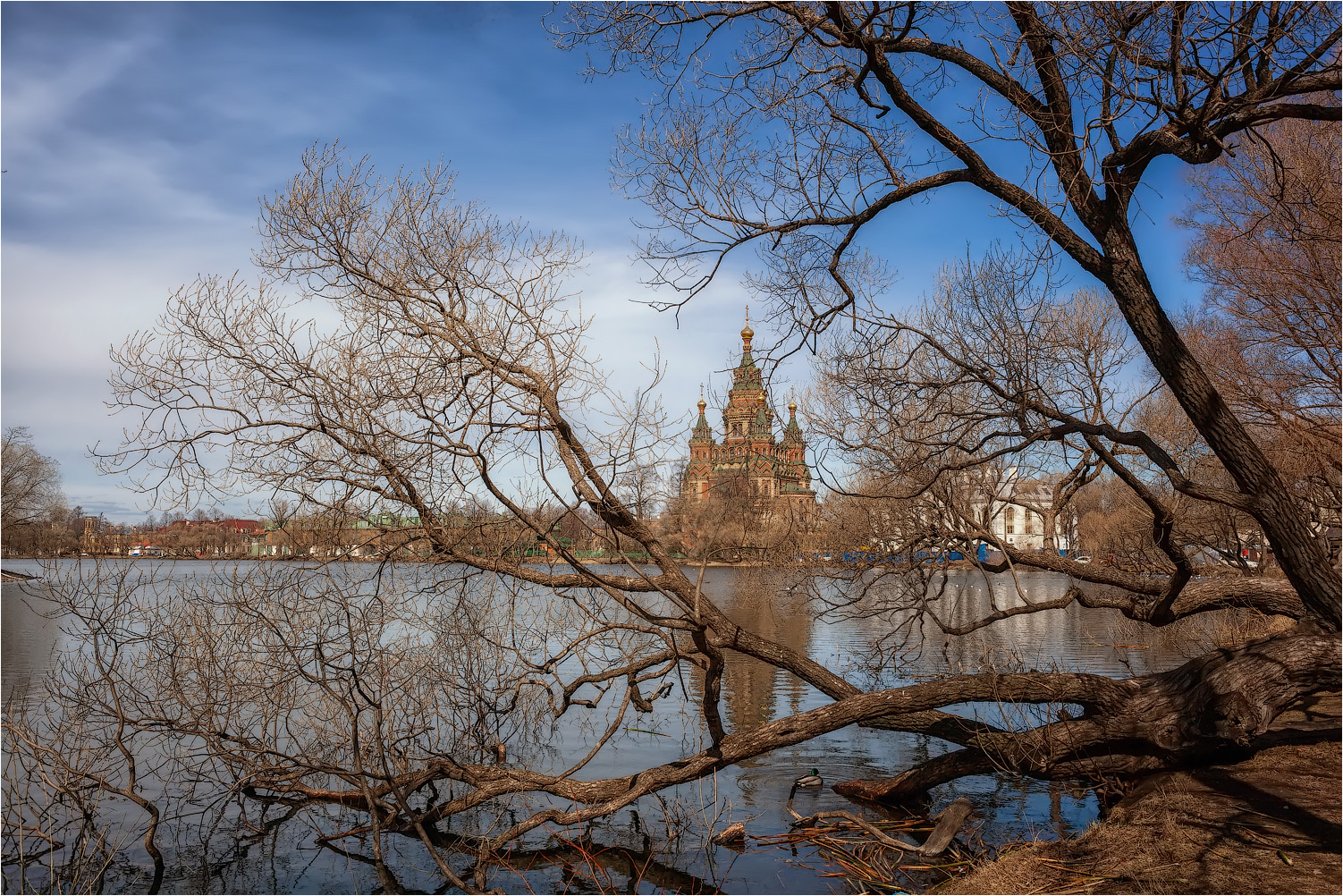 Собор Петра и Павла (Петергоф)
