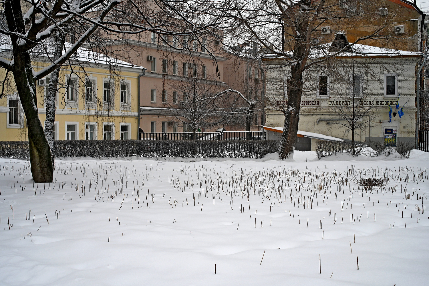 Сад Прямикова