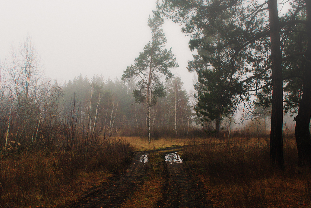Дорога
