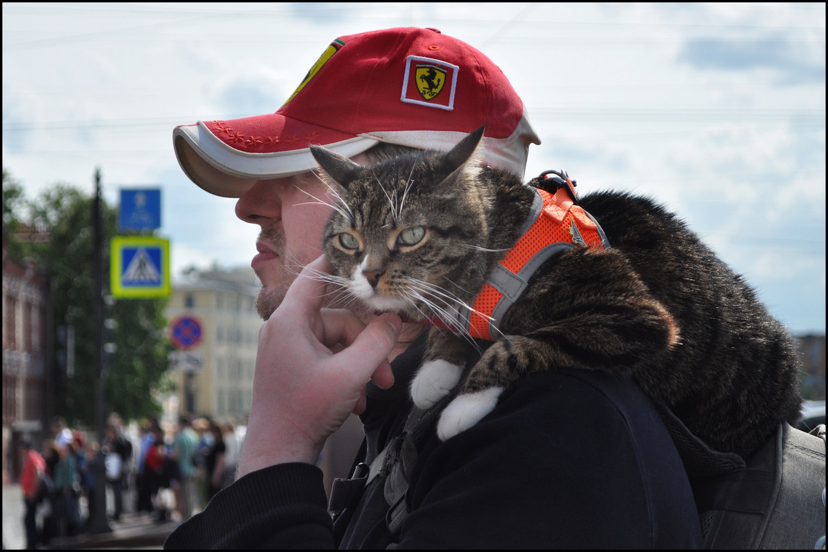  мы с приятелем вдвоём_