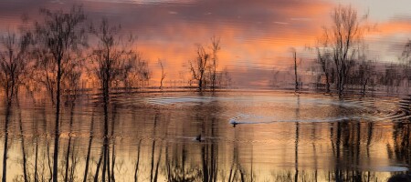 Иллюзия обмана